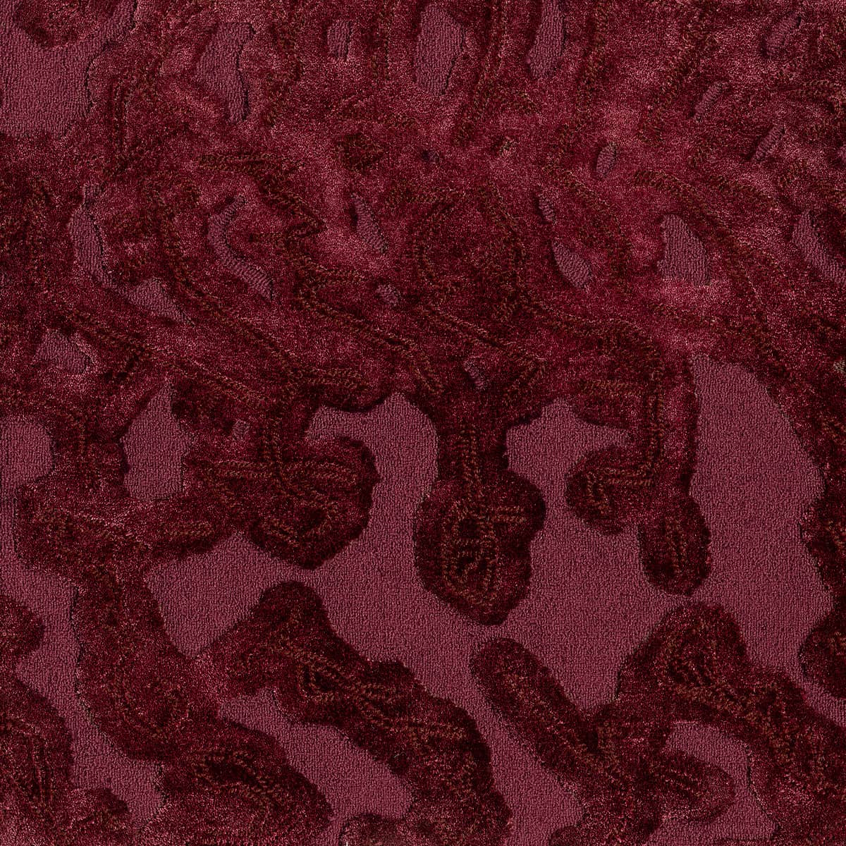 Roter Teppich Detailbild